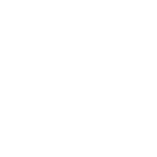 Mission Icon